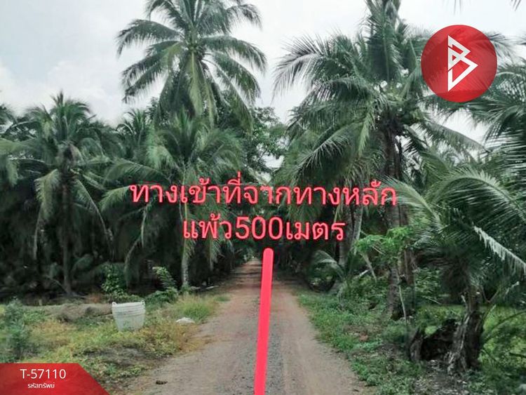 ขายที่ดิน เนื้อที่ 1 ไร่ บ้านแพ้ว สมุทรสาคร, ภาพที่ 4