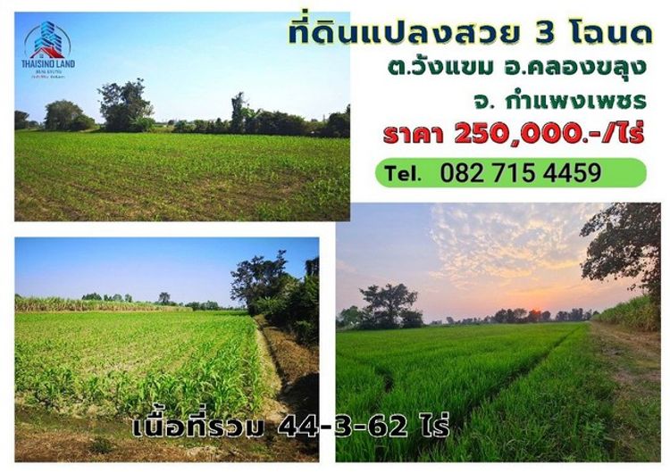 ขายที่ดิน 3 แปลง (3 โฉนด)​ เนื้อที่รวม 44-3-62 ไร่ , ภาพที่ 4