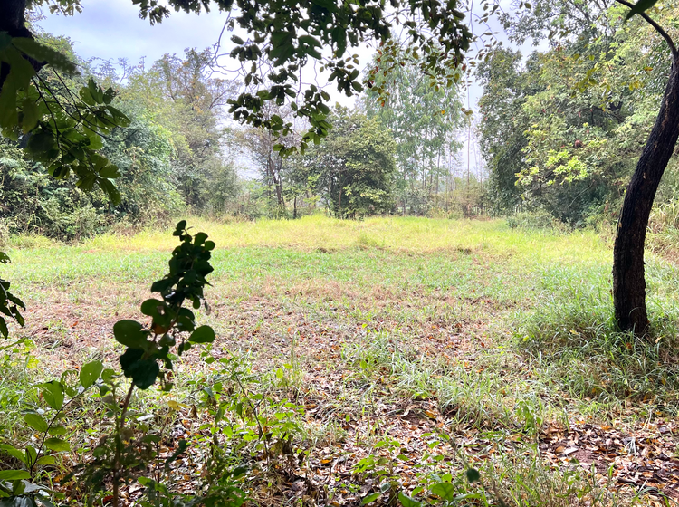 ขาย ที่ดิน ตำบลหัวหนอง อำเภอบ้านไผ่ จังหวัดขอนแก่น, ภาพที่ 4