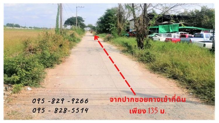 ขายที่ดิน 75.2 ตรว. เลียบคลองห้า (ตะวันออก) เข้าซอยเพียง 135 ม น้ำไฟฟ้า, ภาพที่ 4