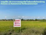ขายถูกที่ดิน 100 ตารางวาซอยพูลทรัพย์ ใกล้ถนนหลักประชาสำราญ