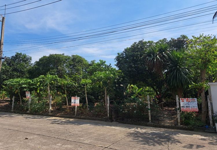 ขายที่ดินหมู่บ้านสาวิตรี ถนนพุทธมณฑลสาย3 บรมราชชนนี เขตทวีวัฒนา, ภาพที่ 4