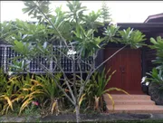 A3MG0167 บ้านเดี่ยวชั้นเดียว 2ห้องนอน 1ห้องน้ำ 1ห้องครัว 1ห้องรับแขก  เนื้อที่ดิน 70 ตรว.   ให้เช่า 10,000 บาท/เดือน