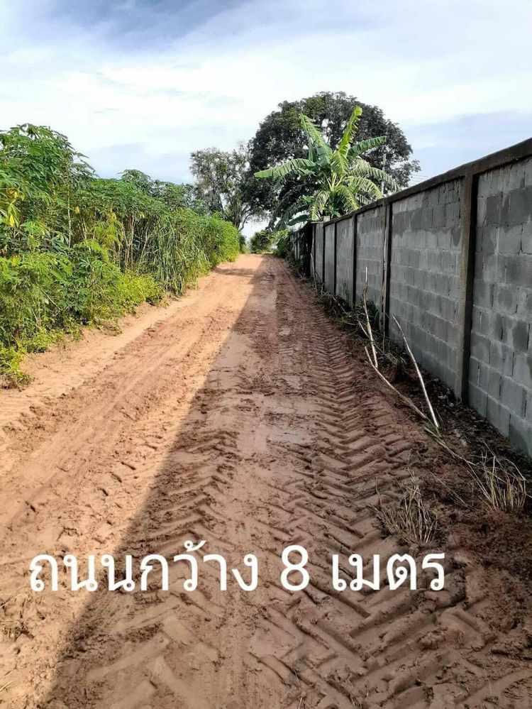 ขายที่ดิน 13 ไร่สีม่วง พิกัดซอยขนัมเจ็ด ต.บ่อวิน อ.ศรีราชา จ.ชลบุรี, ภาพที่ 4