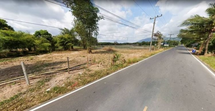 ขายที่ดินระยอง 37-3-6 ไร่ ติดทางหลวงชนบท ต.ตะพง อ.เมือง จ.ระยอง , ภาพที่ 4