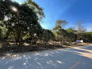 ขาย ที่ดิน ตำบลเชียงคาน อำเภอเชียงคาน จังหวัดเลย