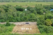 ขายที่ดินบ้านสวนคลอง10  อ.หนองเสือ  จ.ปทุมธานี 