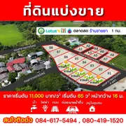 ขายที่ดินทุ่งปากเก็ด หน้าม.แม่โจ้ ทำเลดี ราคาจับต้องได้
