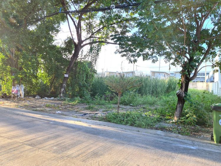ขาย ที่ดิน นาวงพัฒนา 3, ภาพที่ 4