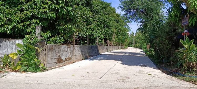 ที่ดินสวนมังคุด มีอนาคต ใกล้สถานีรถไฟรางคู่ อ.ขลุง  จ.จันทบุรี, ภาพที่ 4