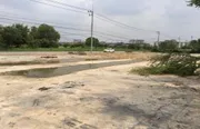 ขายและให้เช่า ที่ดิน ตำบลประชาธิปัตย์ อำเภอธัญบุรี จังหวัดปทุมธานี
