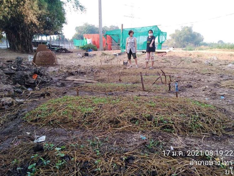 ให้เช่า ที่ดิน ตำบลเชียงรากน้อย อำเภอสามโคก จังหวัดปทุมธานี, ภาพที่ 4