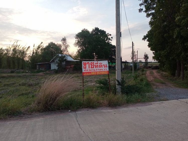 ขายด่วน ที่ดินพร้อมสวนและบ้าน ตำบลโคกสำโรง อำเภอโคกสำโรง จังหวัดลพบุรี, ภาพที่ 4