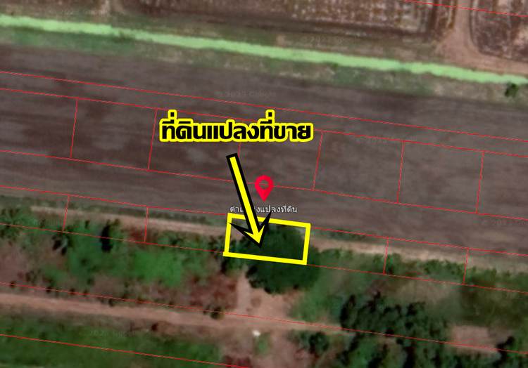 ขายด่วนที่ดินจัดสรร 80ตารางวา  อำเภอบางน้ำเปรี้ยว จังหวัดฉะเชิงเทรา , ภาพที่ 4