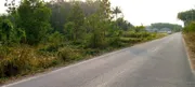 ขายที่ดิน12 ไร่กว่าๆ ใกล้นิคมโรจนะ ผังสีเหลืองอ่อน อ.บ้านค่าย จ.ระยอง 