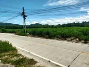 ขายที่ดินผังสีเหลือง 43 ไร่ ใกล้กับวิทยาลัยเทคนิคมาบตาพุต อ.เมือง จ.ระยอง