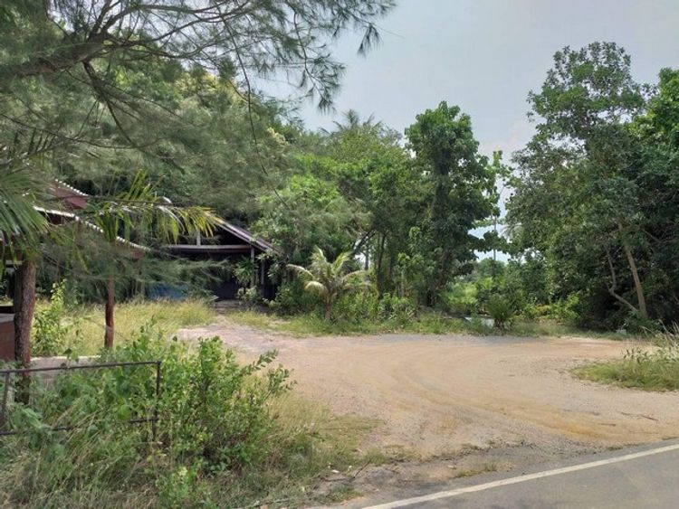 ขายที่ดินวิวทะเล ติดถนน 3 ใกล้ท่าเรือ ทะเลปากบารา สตูล, ภาพที่ 4