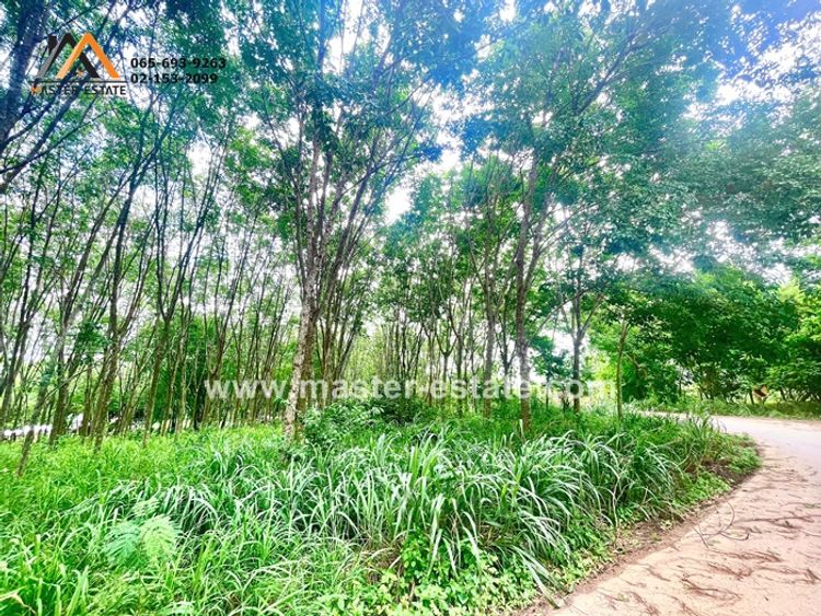 ที่ดินสวนยาง ติดถนนสาธารณะทั้ง 3 ด้าน หลังมจพ. ระยอง แปลงมุม สวย 5-3-36, ภาพที่ 4