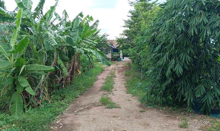 ขายบ้านเดี่ยว อำเภอแม่สอด ตาก (PKK02-13071), ภาพที่ 4