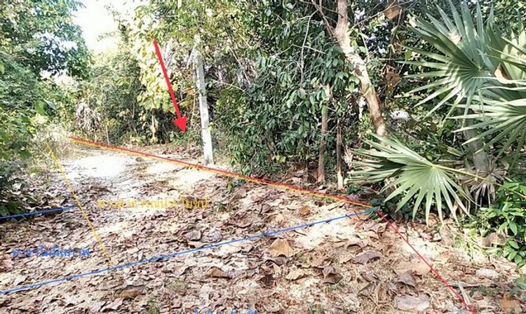 ขายบ้านเดี่ยว       อำเภอเมืองตาก  ตาก (PKK02-15046), ภาพที่ 4