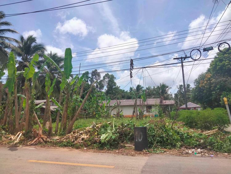 ขายที่ดินเปล่า ใกล้สี่แยกสาริกา, ภาพที่ 4