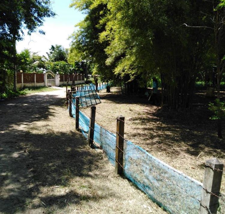 ขายที่ดิน 346 ตรว อ.เมือง จ.ร้อยเอ็ด เหมาะปลูกบ้าน, ภาพที่ 4
