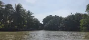 ขายที่ดินริมน้ำ ที่ดินติดแม่น้ำเจ้าพระยา บางกระเจ้า ที่ดินเกือบ 7 ไร่ ติดแม่น้ำเจ้าพระยา ใกล้ถนนเพชรหึงษ์ บางกอบัว 087-9074045a