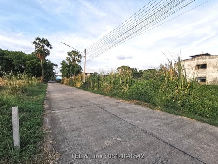 ขาย ที่ดิน 75 หมู่บ้านสุภาพร ซอยเทศบาล 3/3 (ซอยตองเปอะ) สามโคก ปทุมธานี, ภาพที่ 4