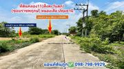 ที่ดินคลอง11(ฝั่งตะวันตก) (ซอยราชพฤกษ์) หนองเสือ ปทุมธานี 100 ตร.ว มี 2 แปลง