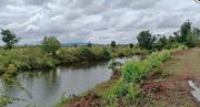 ขาย ที่ดิน ตำบลประทัดบุ อำเภอประโคนชัย จังหวัดบุรีรัมย์