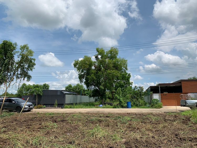 ขาย ที่ดิน 100 ตร.วา มีเพื่อนบ้าน ที่ถมแล้ว ตำบลบึงบา อำเภอหนองเสือ, ภาพที่ 4