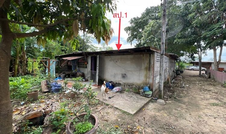 ขายบ้านเดี่ยวใกล้โลตัส อำเภอขาณุวรลักษบุรี จังหวัดกำแพงเพชร PKK02-10372, ภาพที่ 4