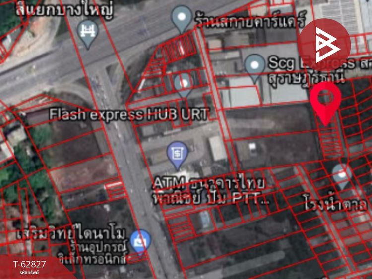 ขายที่ดิน เนื้อที่ 49.8 ตารางวา มะขามเตี้ย สุราษฎร์ธานี, ภาพที่ 4