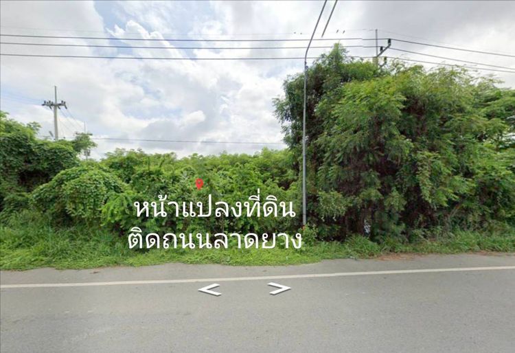 ขาย ที่ดิน ตำบลเขาสมอคอน อำเภอท่าวุ้ง จังหวัดลพบุรี, ภาพที่ 4
