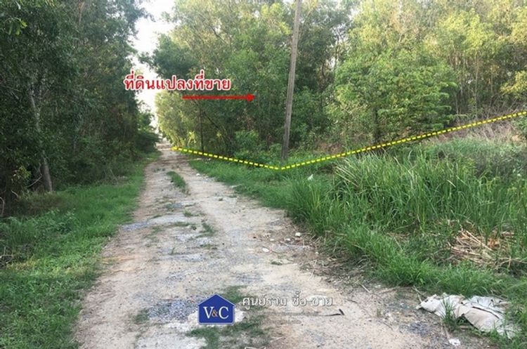 ขาย ที่ดินเปล่า เนื้อที่ 0-3-60 ไร่ อ.คลองหลวง จ.ปทุมธานี, ภาพที่ 4