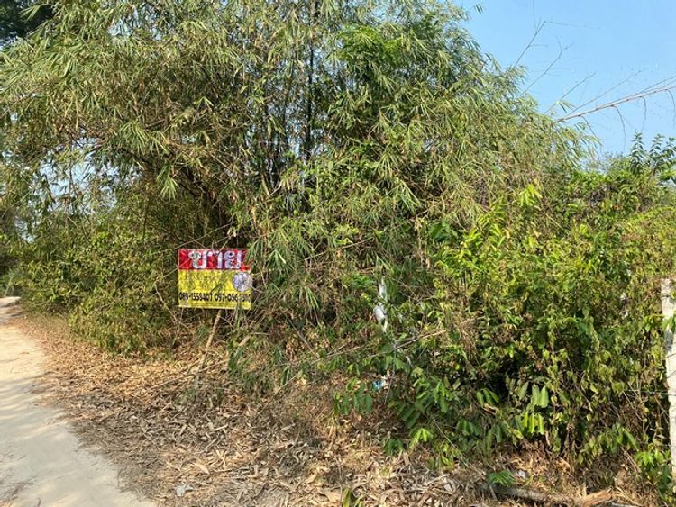 ขายที่ดิน 1 ไร่  บ้านควนหิน ใกล้ 5 แยกน้ำกระจาย  ต.พะวง อ.เมือ จ.สงขลา , ภาพที่ 4
