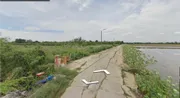 ขาย ที่ดิน เนื้อที่ 1 งาน ต.คลองโยน อ.พุทธมณฑล จ.นครปฐม