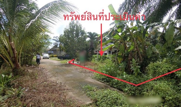 ขายที่ดินว่างเปล่า อำเภอไชยา    สุราษฎร์ธานี (PKK01-10149), ภาพที่ 4