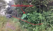 ขายที่ดินว่างเปล่า อำเภอเมืองสุราษฎร์ธานี  สุราษฎร์ธานี (PKK01-11625)