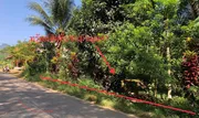 ขายที่ดินว่างเปล่า  อำเภอพนม  สุราษฎร์ธานี (PKK01-10859)