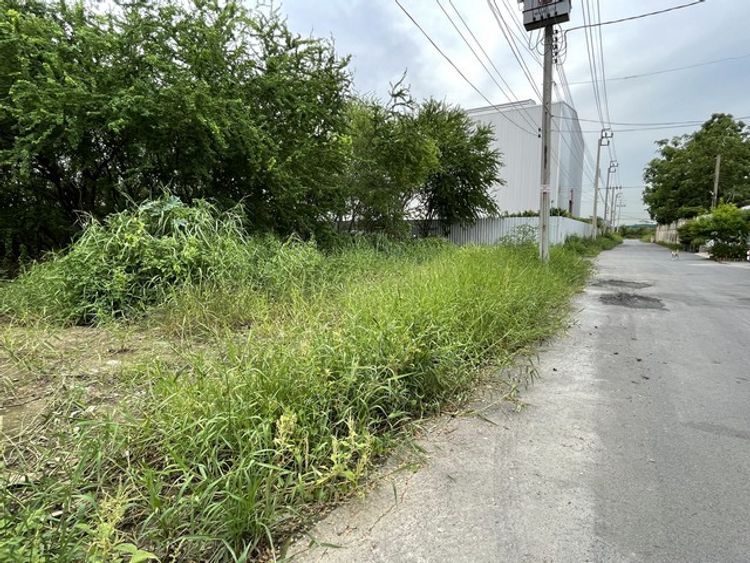 ที่ดินเปล่า กิ่งแก้ว ซอย กิ่งแก้ว43, ภาพที่ 4