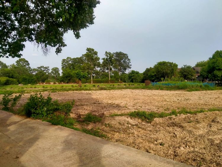 ขาย ที่ดิน ตำบลสะอาดสมบูรณ์ อำเภอเมืองร้อยเอ็ด จังหวัดร้อยเอ็ด, ภาพที่ 4