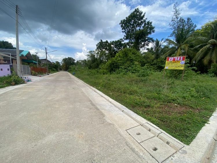ขายที่ดิน 200 ตรว. ซ.หยงสตาร์5  ต.บ้านพรุ  อ.หาดใหญ่  จ.สงขลา   ZST136, ภาพที่ 4