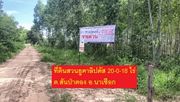 ขายที่ดินพร้อมสวนป่ายูคาลิปตัส 20-0-18 ไร่ (2แปลงติดกัน) ตำบลสันป่าตอง อำเภอนาเชือก จังหวัดมหาสารคาม 