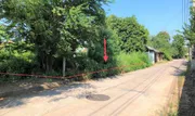 ขายที่ดินว่างเปล่า  อำเภอตะพานหิน พิจิตร (PKK01-10490)