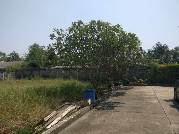 ขาย ที่ดิน แขวงสามวาตะวันออก เขตคลองสามวา กรุงเทพมหานคร, ภาพที่ 4