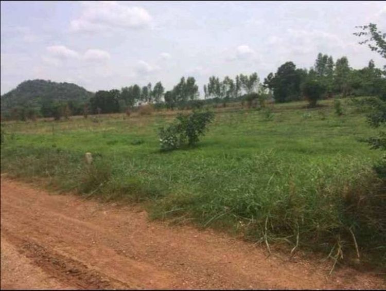 ขายที่ดิน จ.ลพบุรี 100ตรว 120,000บ. โทร 0966545104, ภาพที่ 4