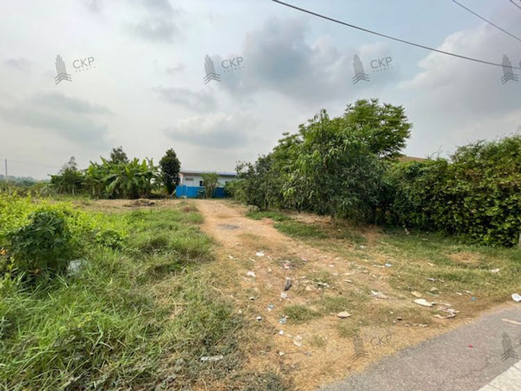 ขาย ที่ดินเปล่า 100 ตร.ว. เหมาะสำหรับสร้างที่อยู่อาศัย ต.คลองห้า, ภาพที่ 4