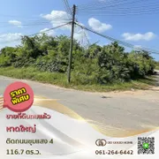 ขาย ที่ดิน ตำบลบ้านพรุ อำเภอหาดใหญ่ จังหวัดสงขลา
