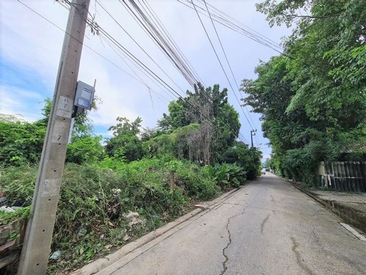พื้นที่ดิน - สวย กรุงเทพ, ภาพที่ 4